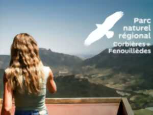 photo DU PIN ET DES FEUX, LA VÉGÉTATION S'ADAPTE... ET LES HUMAINS ?