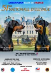 photo Exposition beauté nationale Dobermann France