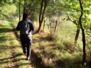 photo Randonnée pédestre à Chauvigny-du-Perche