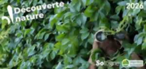 photo Découvertes Sologne Nature - Enquête d'affût  à Bracieux