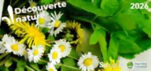 photo Découvertes Sologne Nature - Plantes aux 1001 vertues