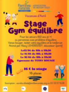 photo Stage gym équilibre seniors