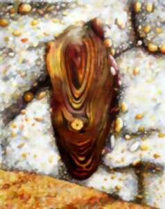 photo EXPOSITION TEMPORAIRE