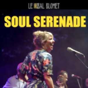 photo Soul Serenade