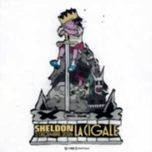 photo Sheldon en Concert