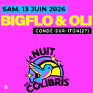 photo Bigflo et Oli - Festival  La Nuit des Colibris