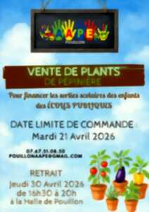photo vente de plants de pépinière