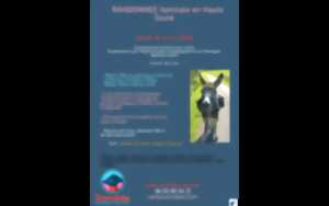 photo Randonnée familiale