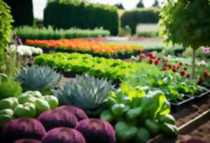 photo Marché de Printemps