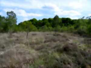 photo Sortie découverte