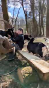 photo Atelier mini fermier