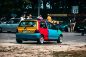 photo Twingo Folie's