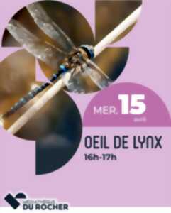 photo Œil de lynx (6-10 ans°)