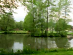 photo Pêche à l'étang