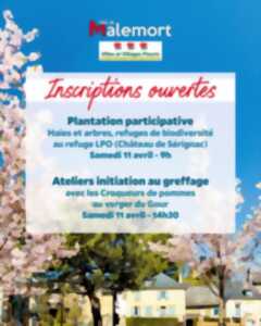 photo Malemort fête le printemps