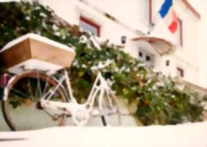 photo Exposition photos Elodie Lafitte