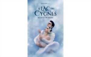 photo LE LAC DES CYGNES