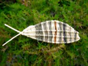 photo Les vanneries de Art et Nature à la Boutique éphémère