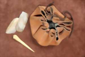 photo Atelier famille 