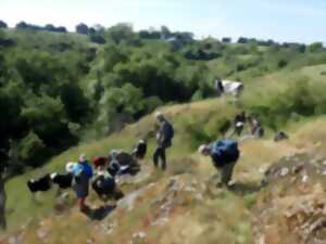 photo Sortie botanique - Faye-L'Abbesse, chemin de randonnée