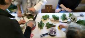 photo Atelier Exploration Tinctoriale d'Isabelle Collett