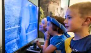 photo Découverte des Chauves-Souris