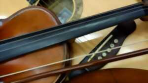 photo The green ladys and the guys : Atelier de musique irlandaise