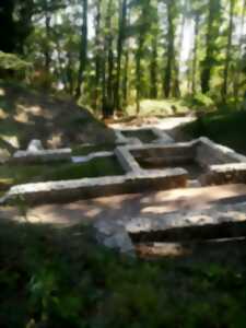 photo La Villa d'Antone