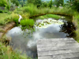 photo Mettez la main dans la terre : Création d’une mare