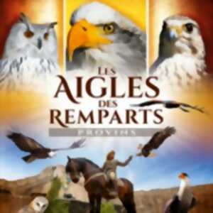 photo Les Aigles des Remparts - Fauconnerie Equestre