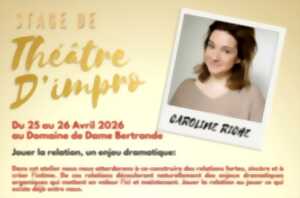 photo Stage de théâtre d'impro à la Bertrande