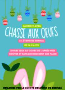 photo Chasse aux oeufs