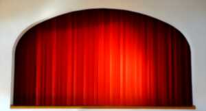 photo Cochons d'Inde