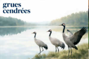 photo Conférence sur les grues cendrées