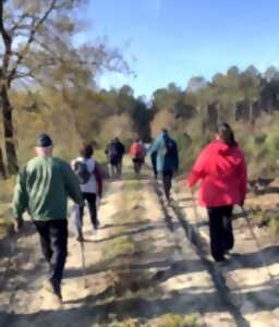 photo Découverte gratuite de la marche nordique