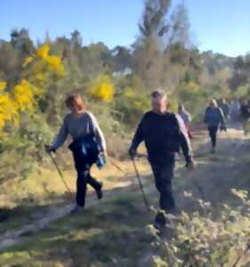 photo Découverte gratuite de la marche nordique