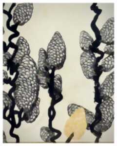 photo Exposition de l'artiste Clotilde Cazamajour