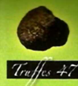 photo La truffe autour de nous