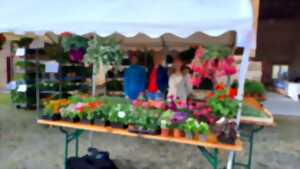 photo Vide grenier et marché aux fleurs