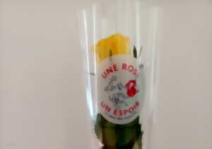 photo Une rose un Espoir - Collecte de fonds