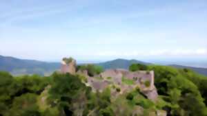 photo Portes ouvertes du musée : thème des châteaux