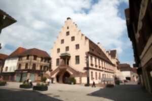 photo Exposition : éclosion