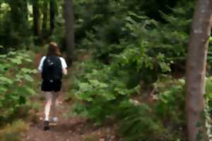 photo Randonnée accompagnée Wangenbourg