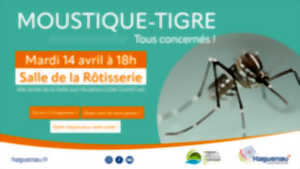 photo Moustiques tigres : tous concernés, tous acteurs !