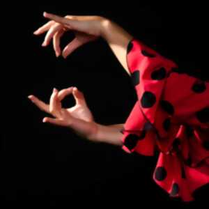 photo Soirée flamenco