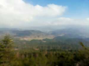 photo Marche d’émerveillement