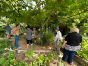 photo Rendez-vous aux jardins 2026 : jardin de Marguerite