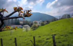 photo Randonnée sous les ailes du vautour fauve