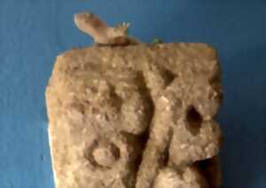 photo Exposition temporaire ludique de Denis Bulot