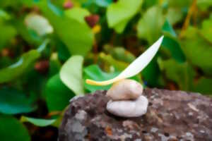 photo Atelier Land'art